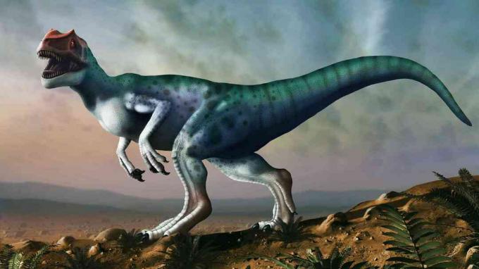 Ilustrasi Allosaurus