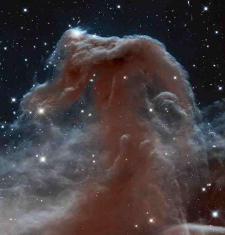 Nebula Horsehead dari Hubble