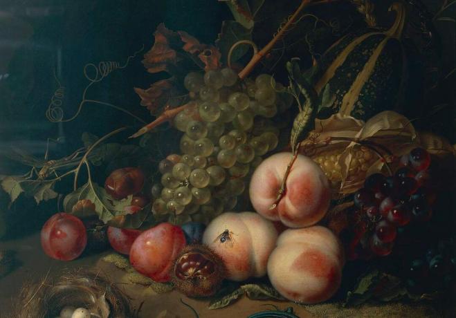 Comp Save to Board Italy, Florence, Lukisan alam benda dengan buah dan serangga oleh Rachel Ruysch, 1711, minyak di atas kanvas, detail