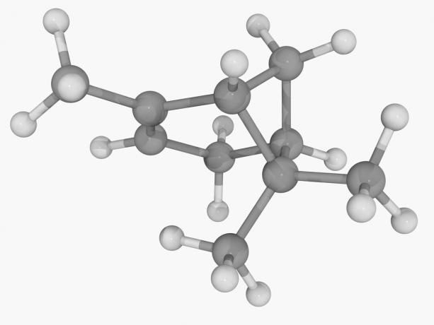 molekul alpha-pinene