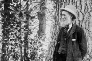 Foto John Muir di hutan