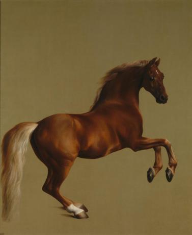 george stubbs whistlejacket