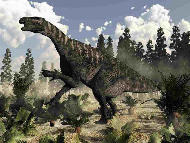 Dinosaurus Iguanodon menderu sambil dikelilingi oleh pakis, cycas dan tanaman wollemia.