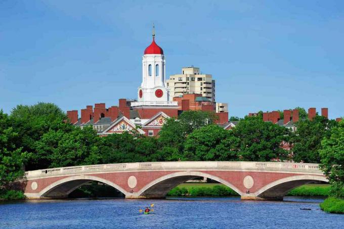 Universitas Harvard