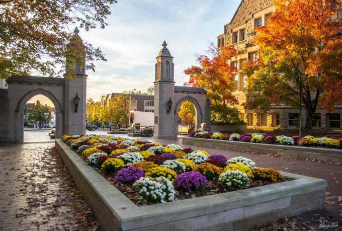 Cintai Sekolahku, Terutama Di Musim Gugur - Indiana University Of Bloomington