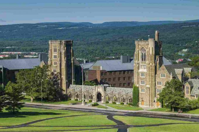 AS, New York, Ithaca, Universitas Cornell