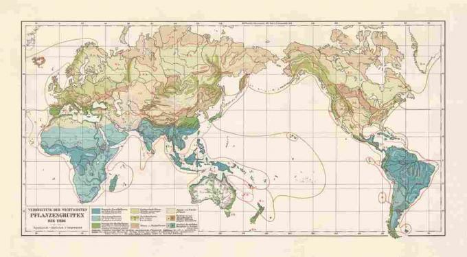 Zona vegetasi dunia, litograf, diterbitkan pada tahun 1897