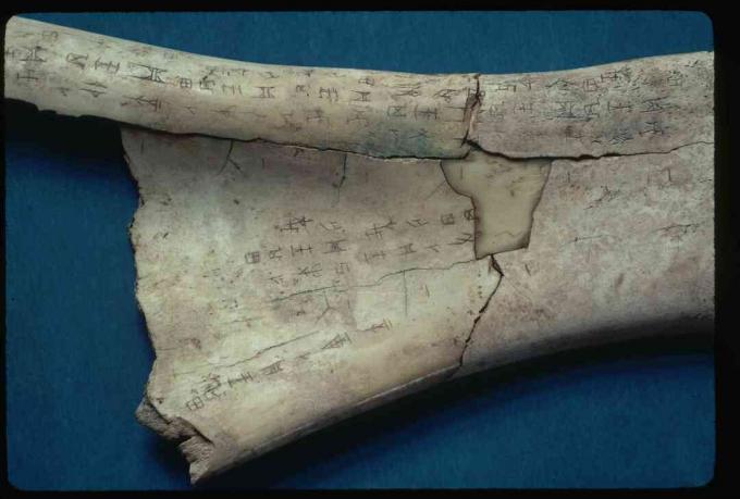 Dinasti Shang, Oracle Bone