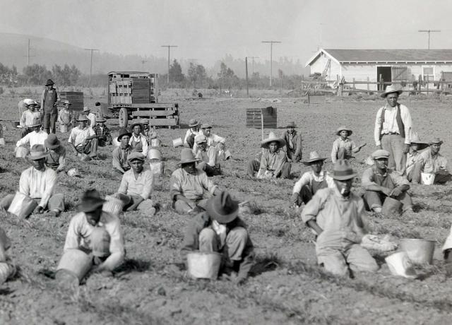 Pertanian di San Fernando Valley, ca. 1920