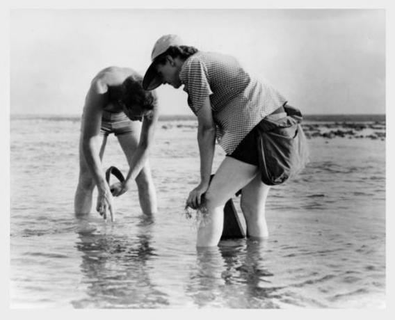 Rachel Carson dan Bob Hines melakukan penelitian biologi kelautan di Florida