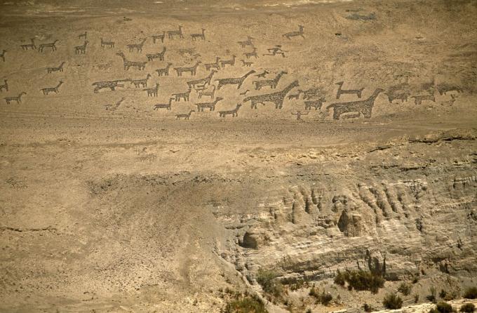 Chili, Wilayah I, Tiliviche. Geoglif di lereng gunung dekat Tiliviche, representasi Chili Utara dari Llamas & Alpacas