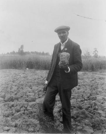 George Washington Carver, potret panjang-penuh, berdiri di lapangan, mungkin di Tuskegee, memegang sebidang tanah, 1906