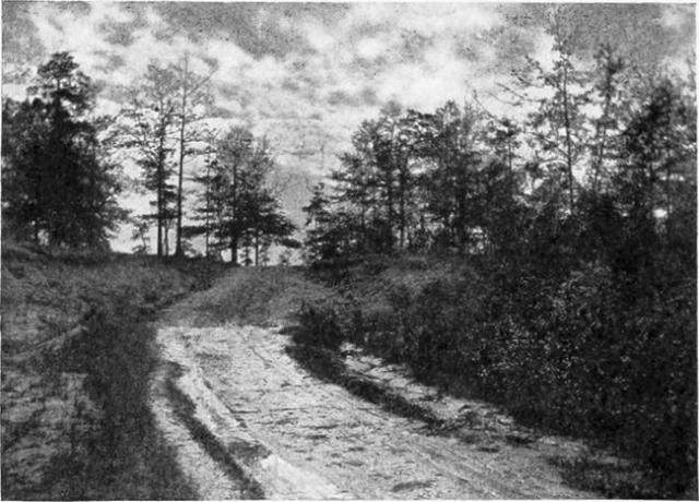 Tempat di mana Aaron Burr ditangkap, dekat Wakefield, Alabama.