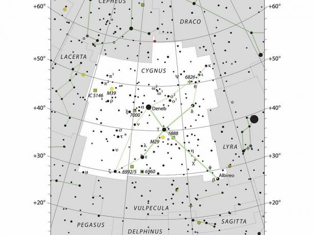 Konstelasi Cygnus angsa.