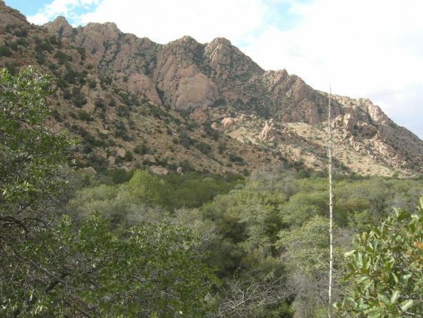 Kubu Timur Cochise, Pegunungan Dragoon, Arizona Tenggara.