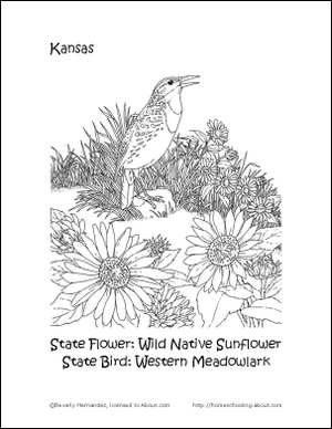 Kansas State Flower dan State Bird Coloring Page